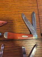 IMG_6723.jpeg