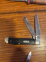 IMG_6725.jpeg