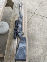 IMG_7038.jpeg