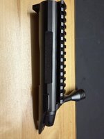 IMG_0662.jpeg