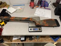IMG_4330.jpeg