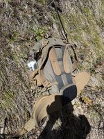 IMG_7189.jpeg