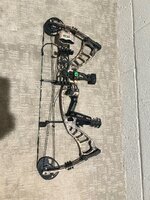 IMG_2921.jpeg