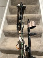 IMG_2927.jpeg