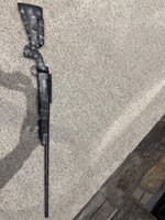 IMG_1313.jpeg