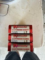 IMG_2528.jpeg