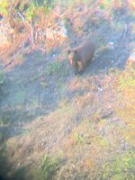 IMG_8114.jpeg