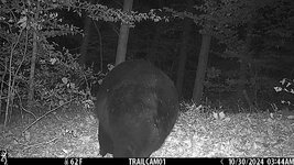 IMG_0069.jpeg
