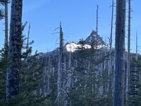 IMG_8484.jpeg