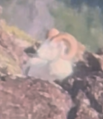 2025 ram 2.png