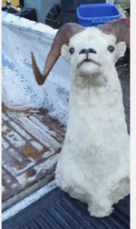 Screenshot 2026-04-07 at 3.09.56 PM.png