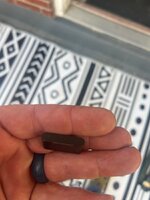IMG_7242.jpeg