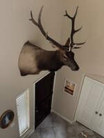 IMG_9144.jpeg
