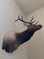 IMG_9143.jpeg