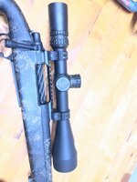 IMG_6234.jpeg