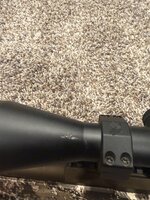 IMG_1209.jpeg