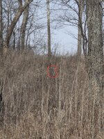 20260119_124825.jpg