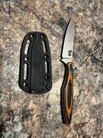IMG_2333.jpeg