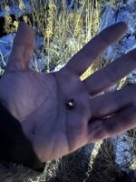 IMG_0196.jpeg