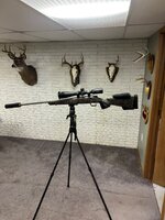 IMG_7522.jpeg