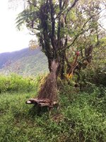 IMG-20180629-WA0006.jpg