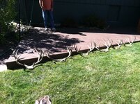 IMG_1071.jpeg