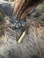 IMG_2389.jpeg