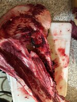 IMG_4978.jpeg