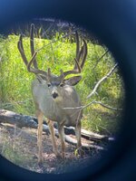 IMG_8226.jpeg