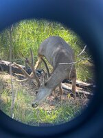 IMG_8224.jpeg