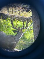 IMG_8230.jpeg
