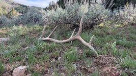 IMG_7129.jpeg