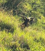 IMG_7787.jpeg