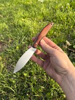 IMG_3957.jpeg