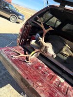 IMG_0788.jpeg