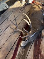 IMG_0841.jpeg