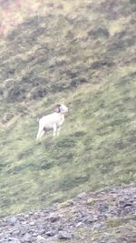 IMG_3693.jpeg