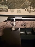 IMG_1775.jpeg