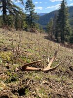 IMG_1721.jpeg