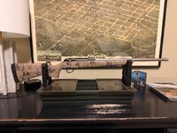 IMG_1773.jpeg