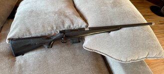 IMG_0495.jpeg