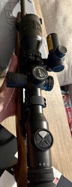 IMG_1052.jpeg