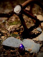 IMG_1726.jpeg