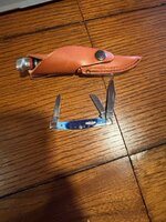 IMG_6766.jpeg