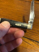 IMG_6761.jpeg