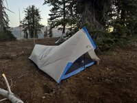 IMG_7992.jpeg