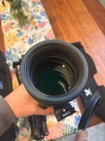 IMG_7542.jpeg