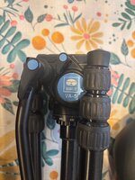IMG_7543.jpeg