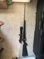 IMG_9660.jpeg