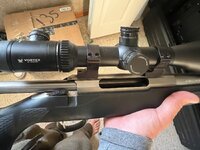 IMG_9661.jpeg